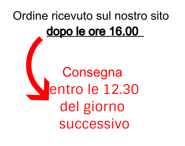 esempio-consegna-rapida-dopo-ore-16 esempio-consegna-rapida-dopo-ore-16