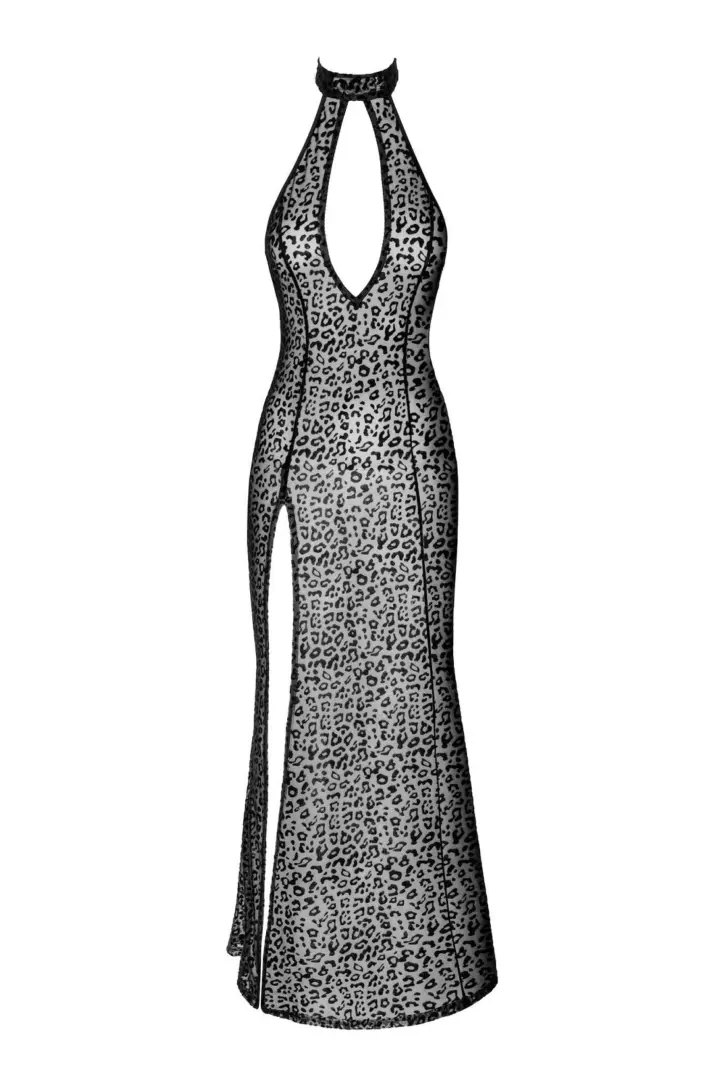 24443-jpg